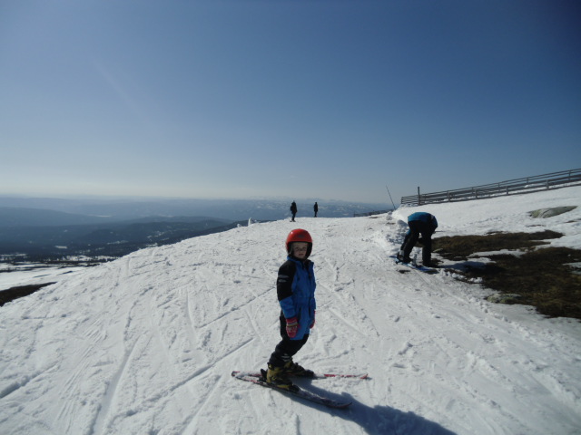 bild1