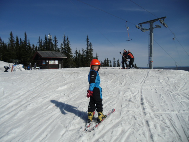 bild1