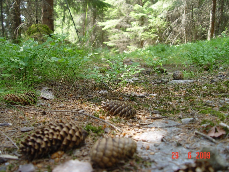 bild1
