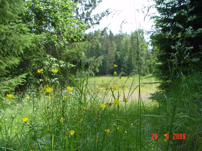 bild1