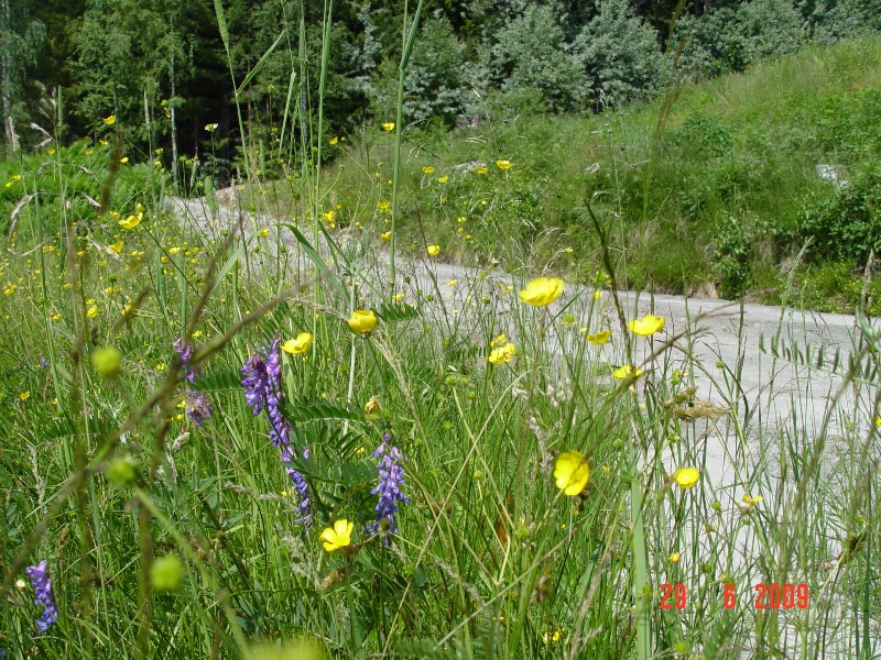 bild1