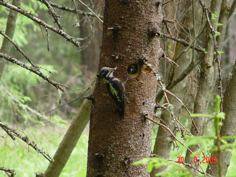 bild1