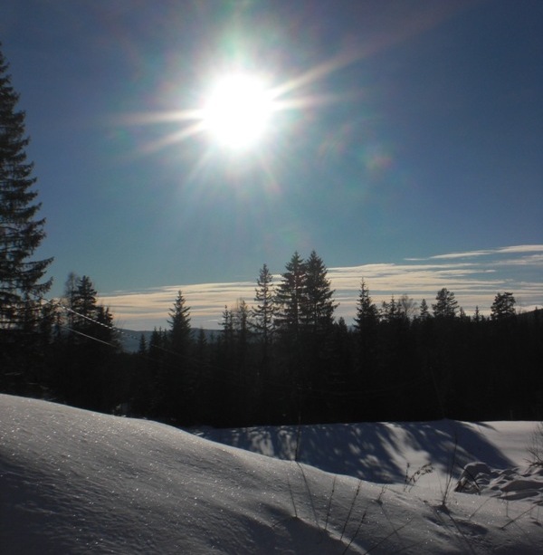 bild1
