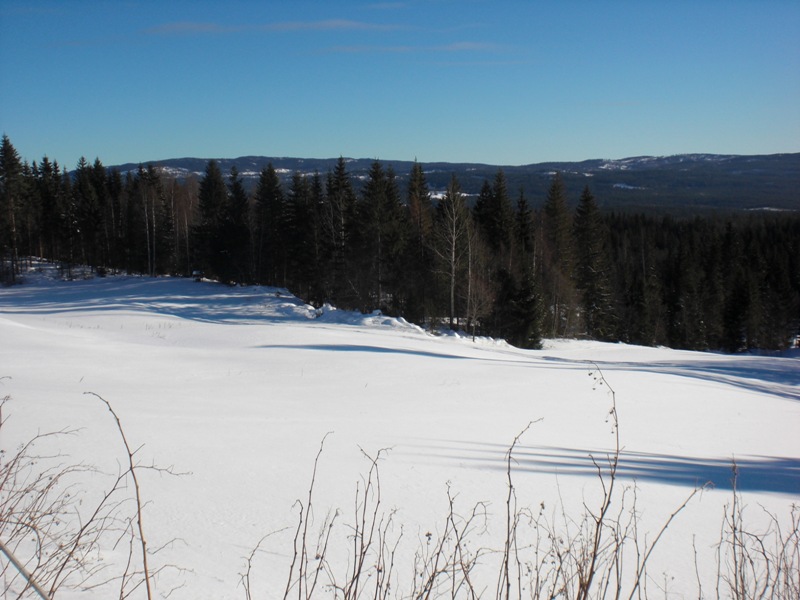 bild1