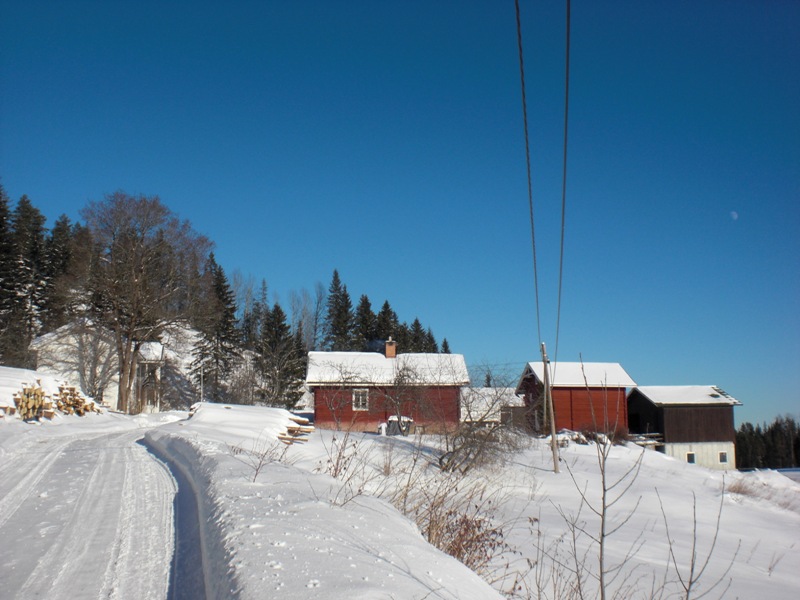 bild1