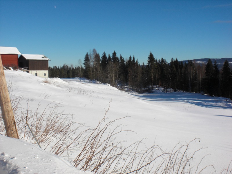 bild1
