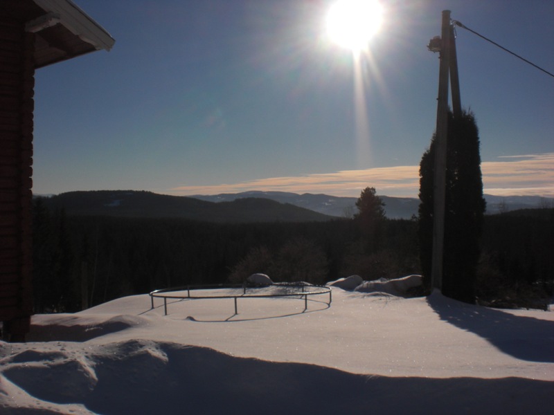 bild1