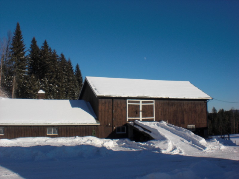 bild1