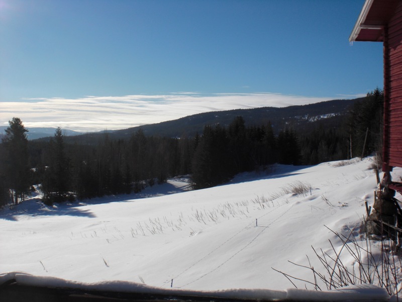 bild1