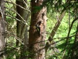 bild1