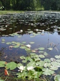 bild1
