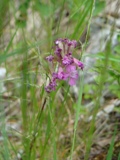 bild1