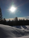 bild1