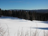 bild1